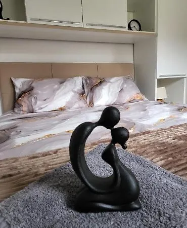 Kety 公寓 索科矿泉村